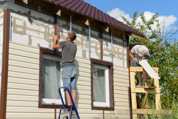 Best Custom Trim and Detailing for Siding  in Patrick Af, FL