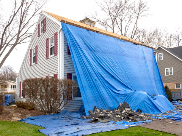 Best Fiber Cement Siding Installation  in Patrick Af, FL